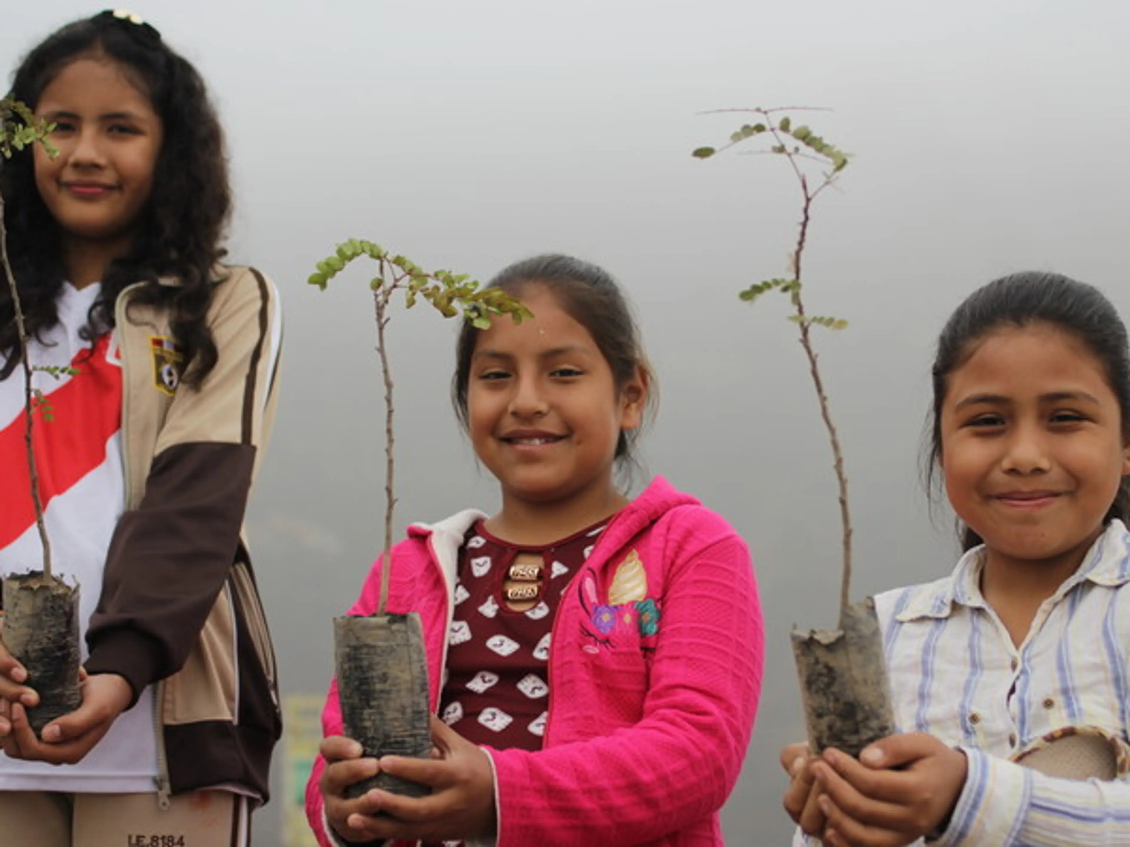Peru - Ecobrigade planting trees