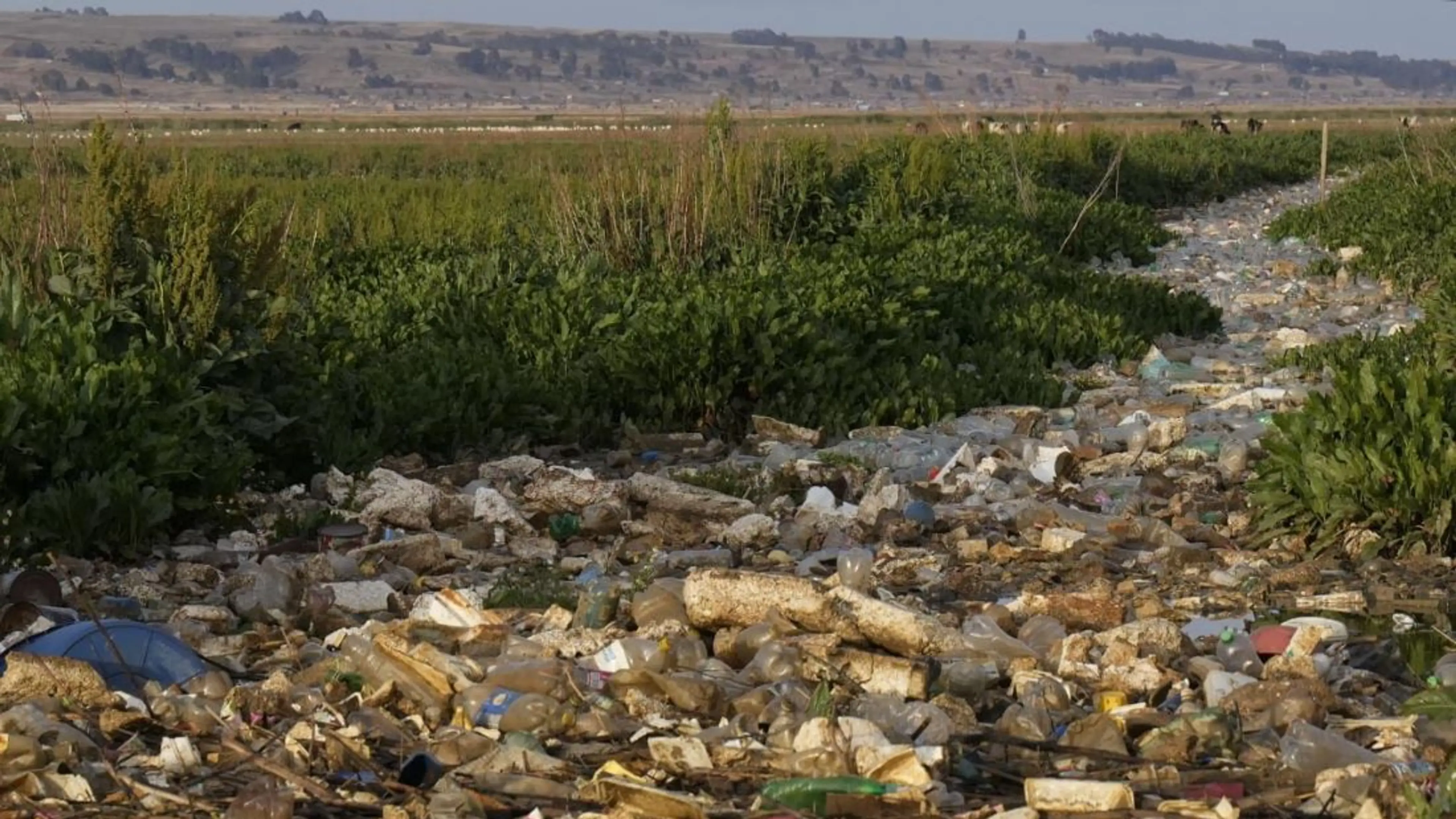 South America -Bolivia - plastic waste in the Katari River basin