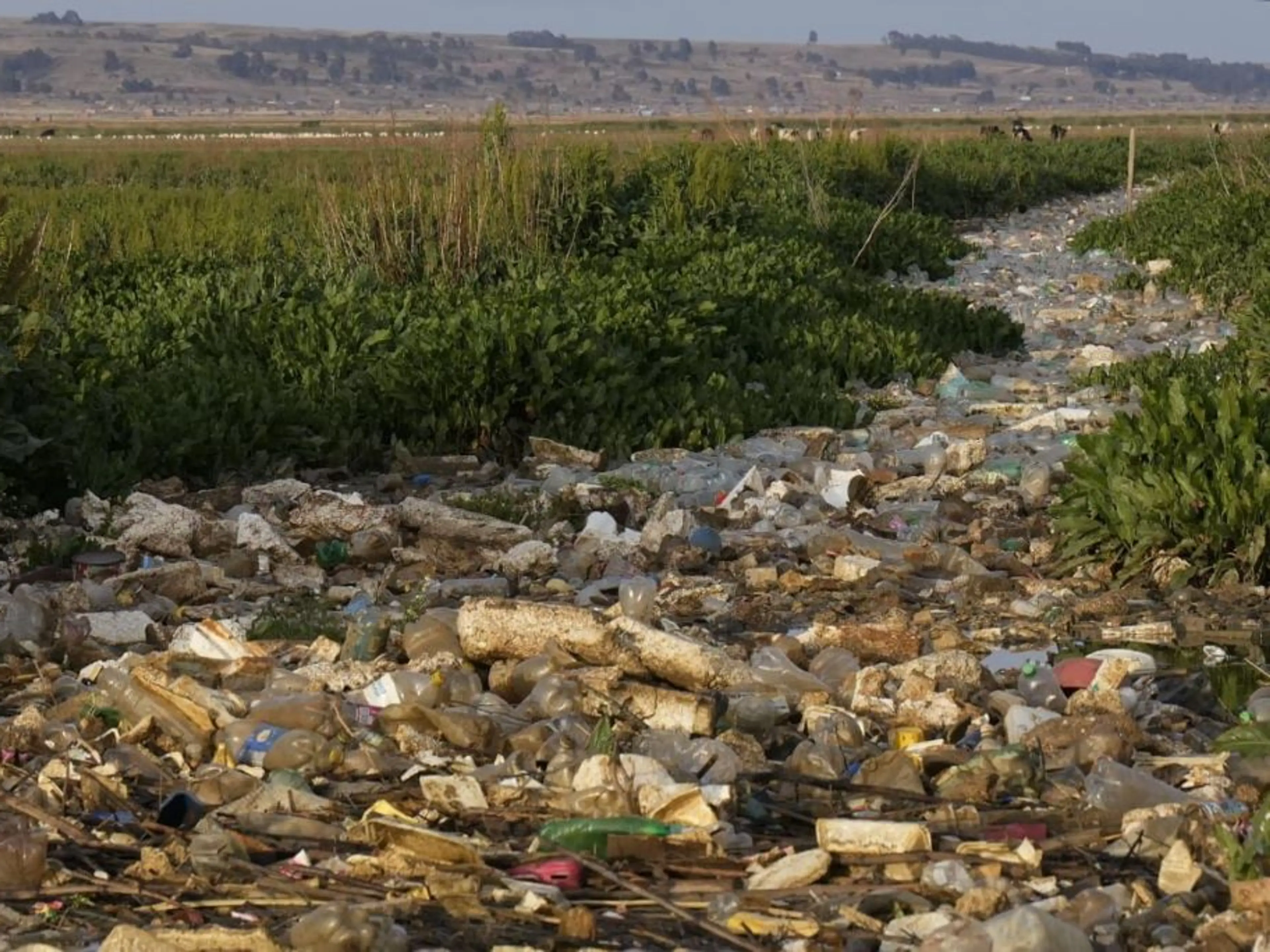 South America -Bolivia - plastic waste in the Katari River basin