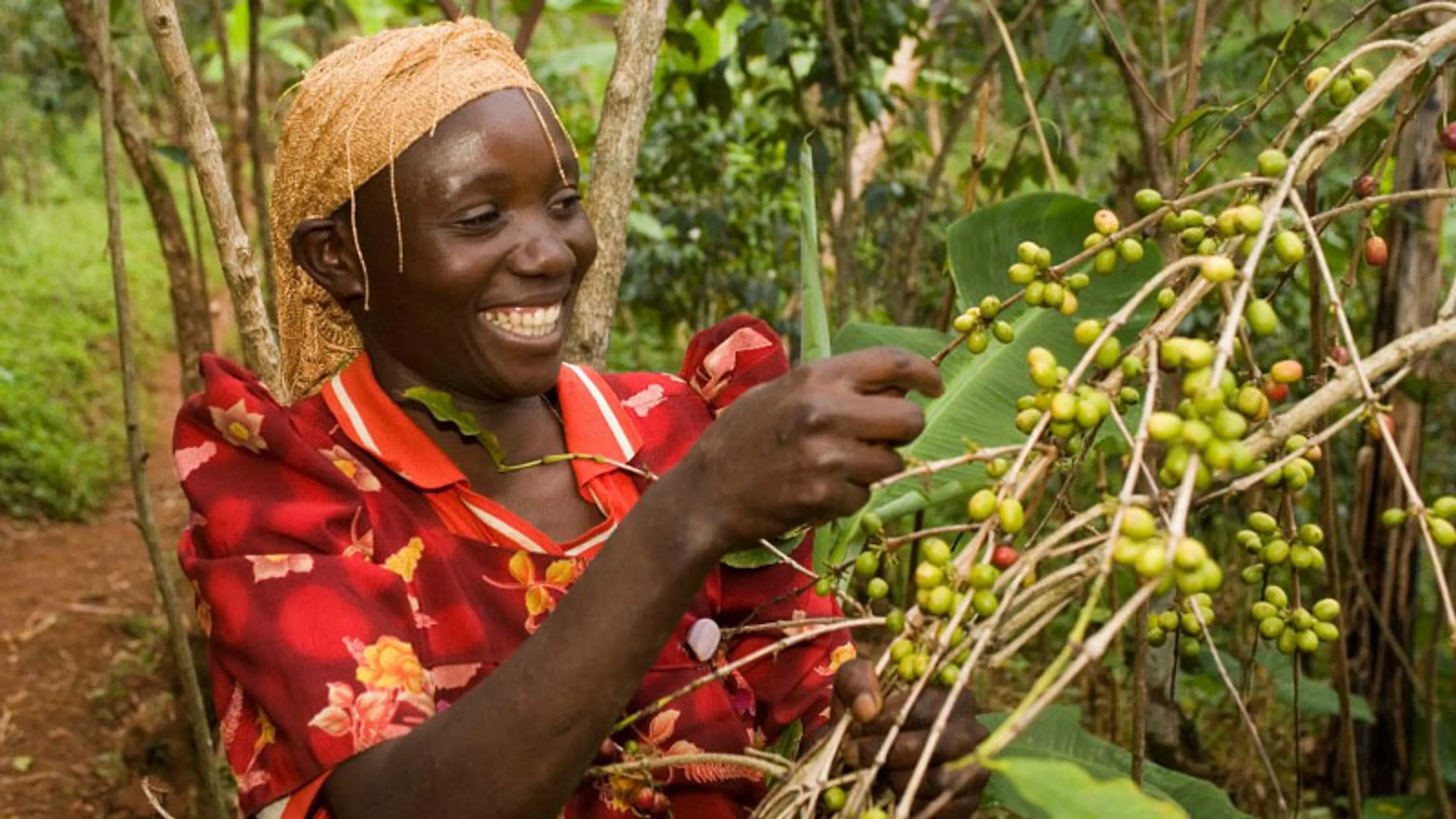 fairtrade coffee farmer