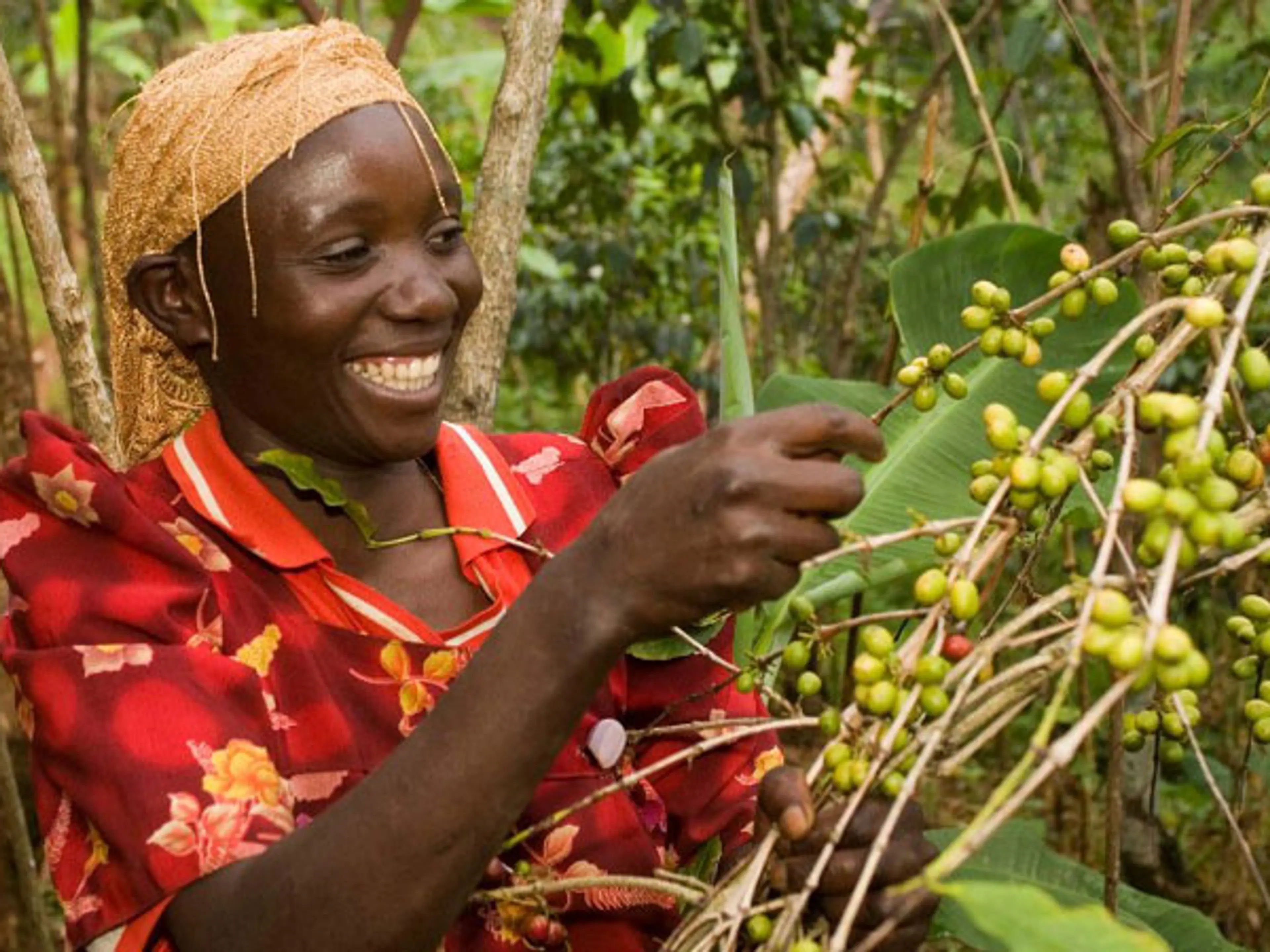 fairtrade coffee farmer